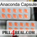 Anaconda Capsule 27